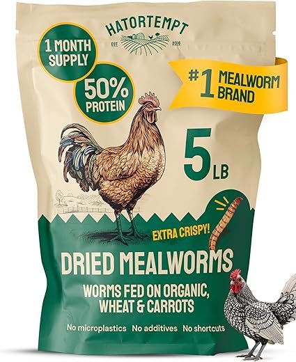 Hatortempt Dried Mealworms for Chickens – Organic Chicken Feed Supplement – Meal Worms 5lbs – 50% Protein, for Poultry and Wild Birds